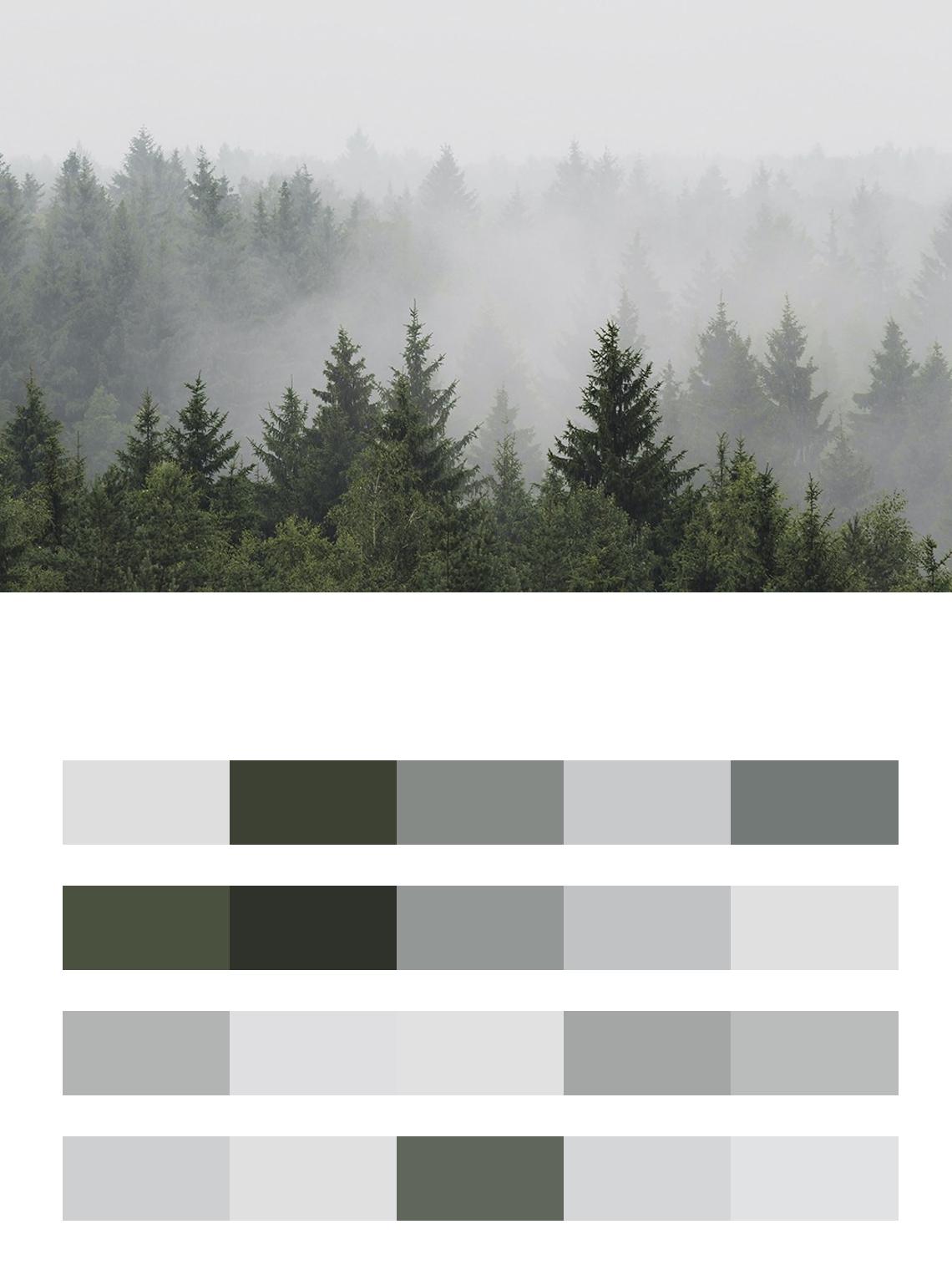 Туман над лесом цвета