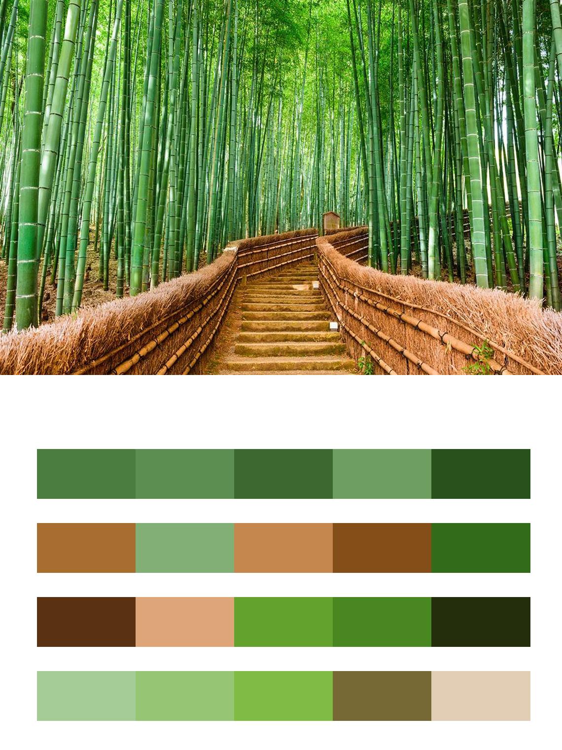 Бамбуковая аллея цвета